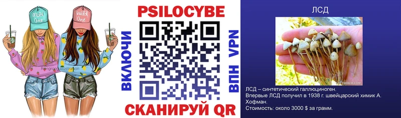 Галлюциногенные грибы Psilocybine cubensis  Купить закладки  Усть-Кут 